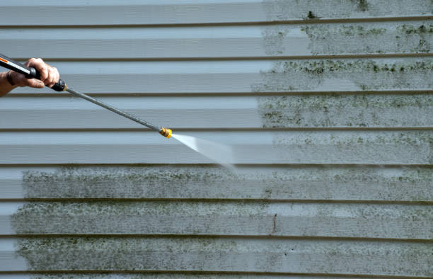 Best Affordable Pressure Washing  in Iowa Park, TX
