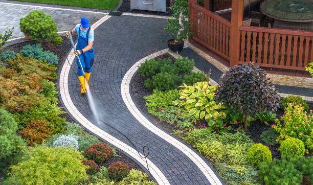 Best Affordable Power Washing  in Iowa Park, TX